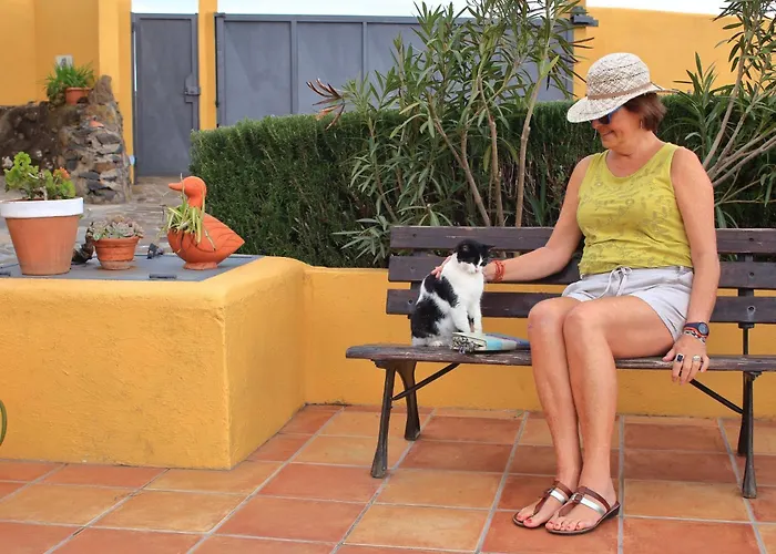 Mit Schwimmbad Nur Fuer Erwachsene By Interhome Vakantiehuis